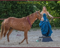 2-13JUIN 0594